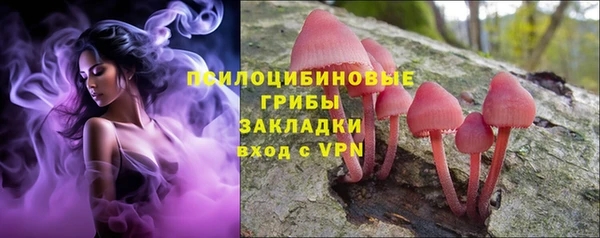 бошки Волоколамск